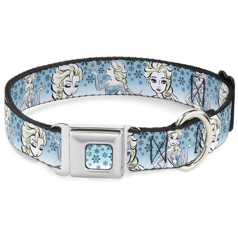 Buckle-Down Frozen Snowflake Art - Collar/Leash