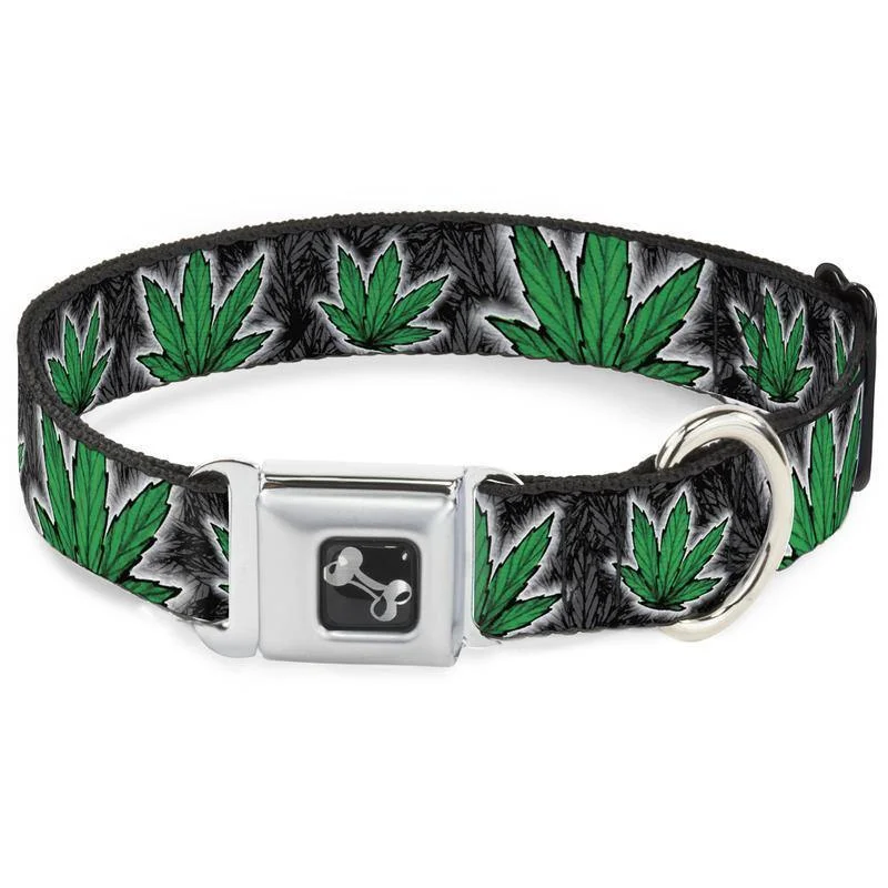 Buckle-Down Marijuana Haze Rasta & Black - Collar/Leash