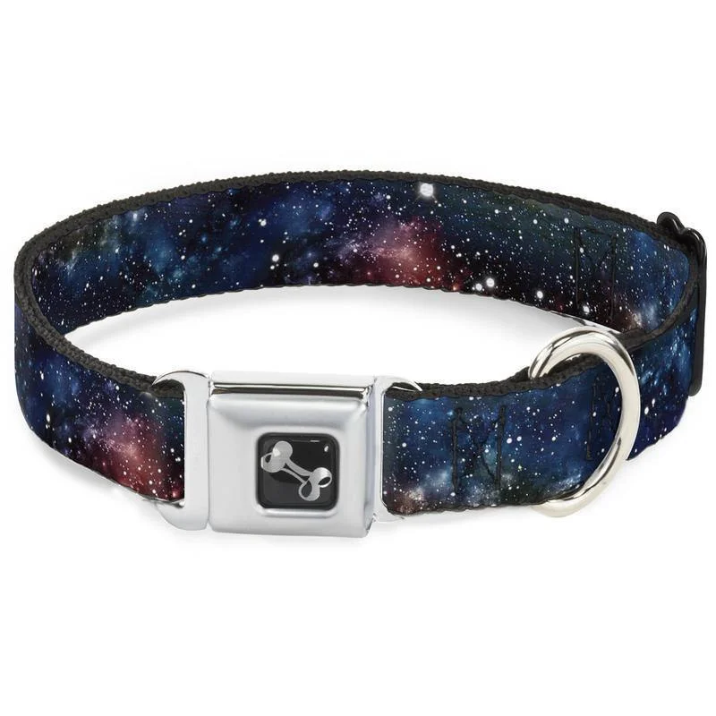 Buckle-Down Space Dust Collage - Collar/Leash